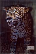 jaguar-dente-copie